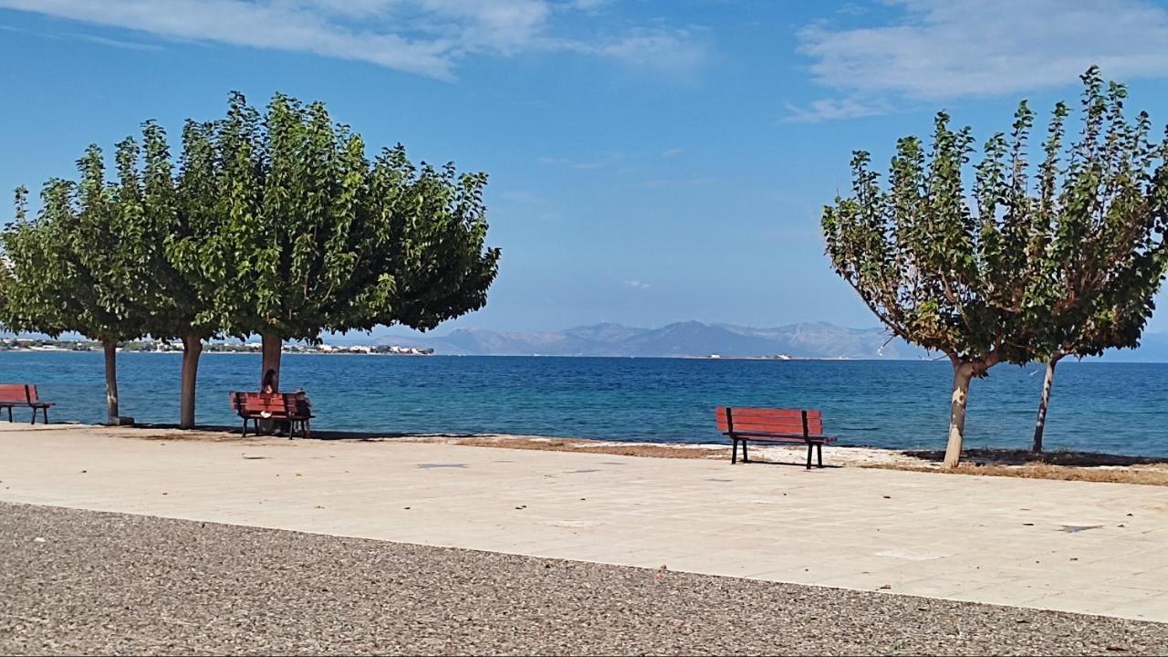 Апартаменти Beautiful Choice - Near Athens Airport - 50M From The Sea - Iq+ Артеміда Екстер'єр фото